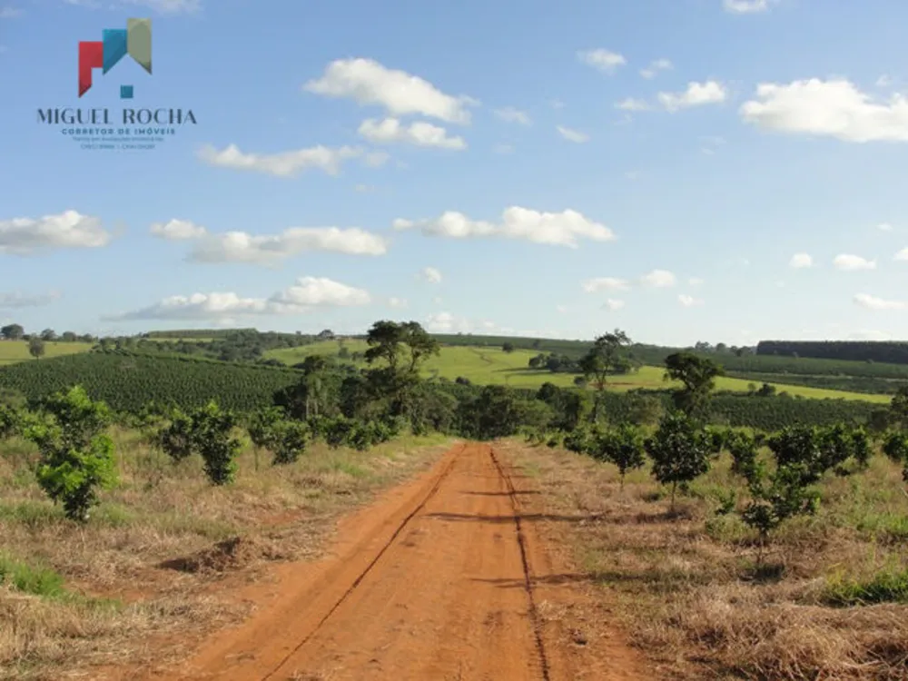 Fazenda, 411 hectares - Foto 7