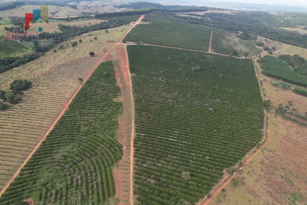 Fazenda, 411 hectares - Foto 8