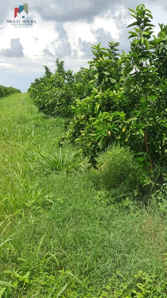 Fazenda, 1 quarto - Foto 6