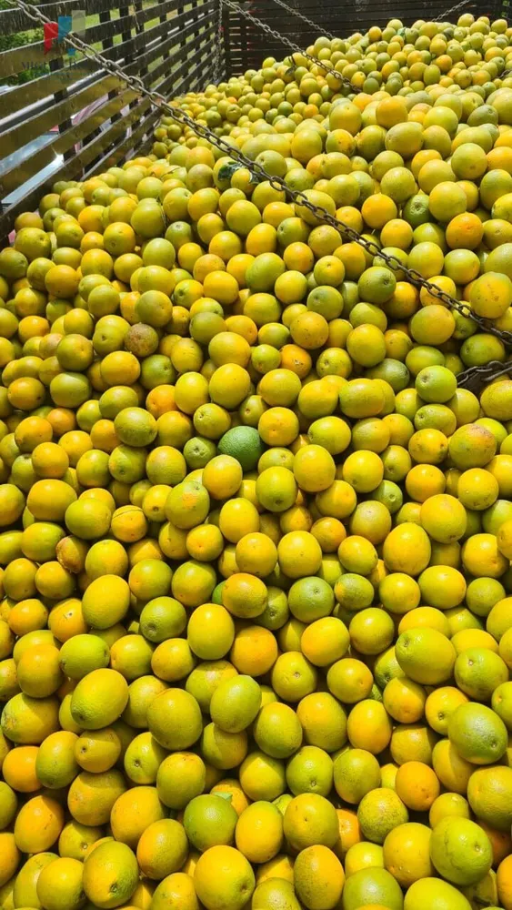 Fazenda, 1 quarto - Foto 1