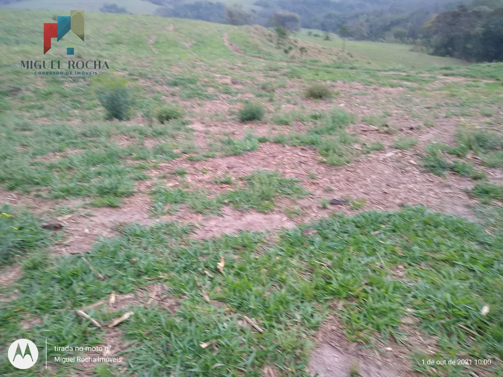 Fazenda, 315 hectares - Foto 8