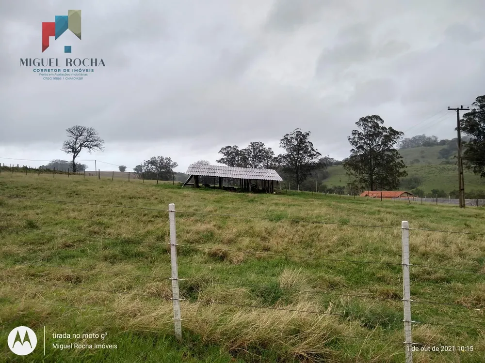 Fazenda, 315 hectares - Foto 20