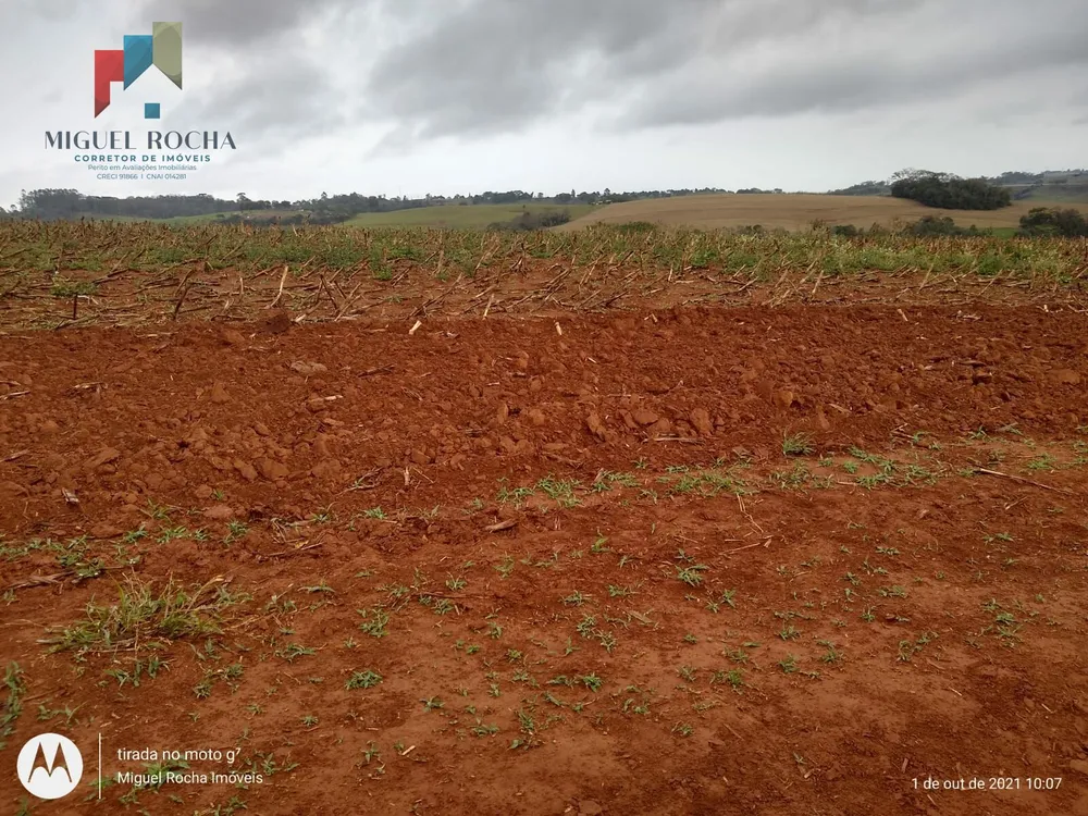 Fazenda, 315 hectares - Foto 2