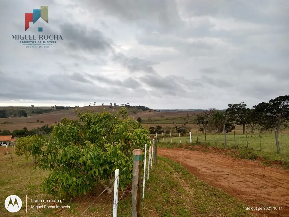 Fazenda, 315 hectares - Foto 16
