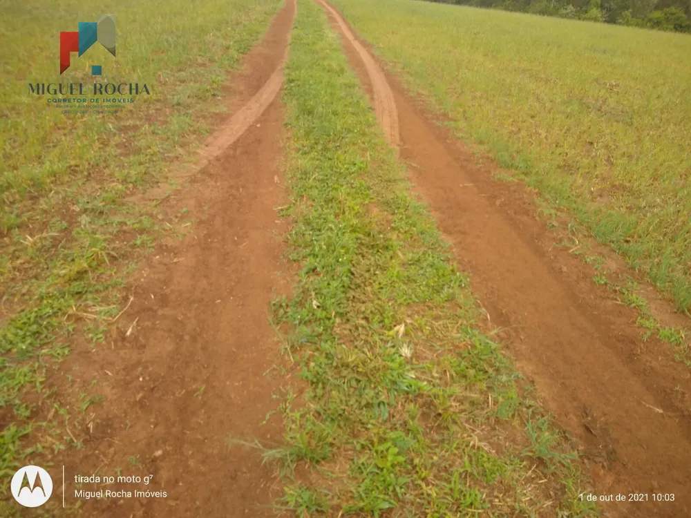 Fazenda, 315 hectares - Foto 4