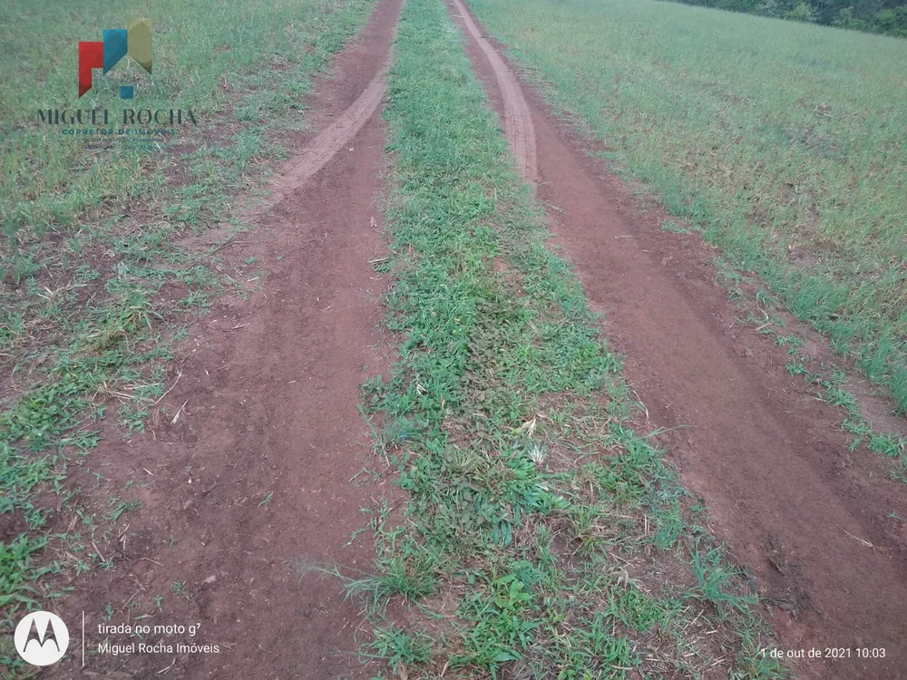 Fazenda, 315 hectares - Foto 7