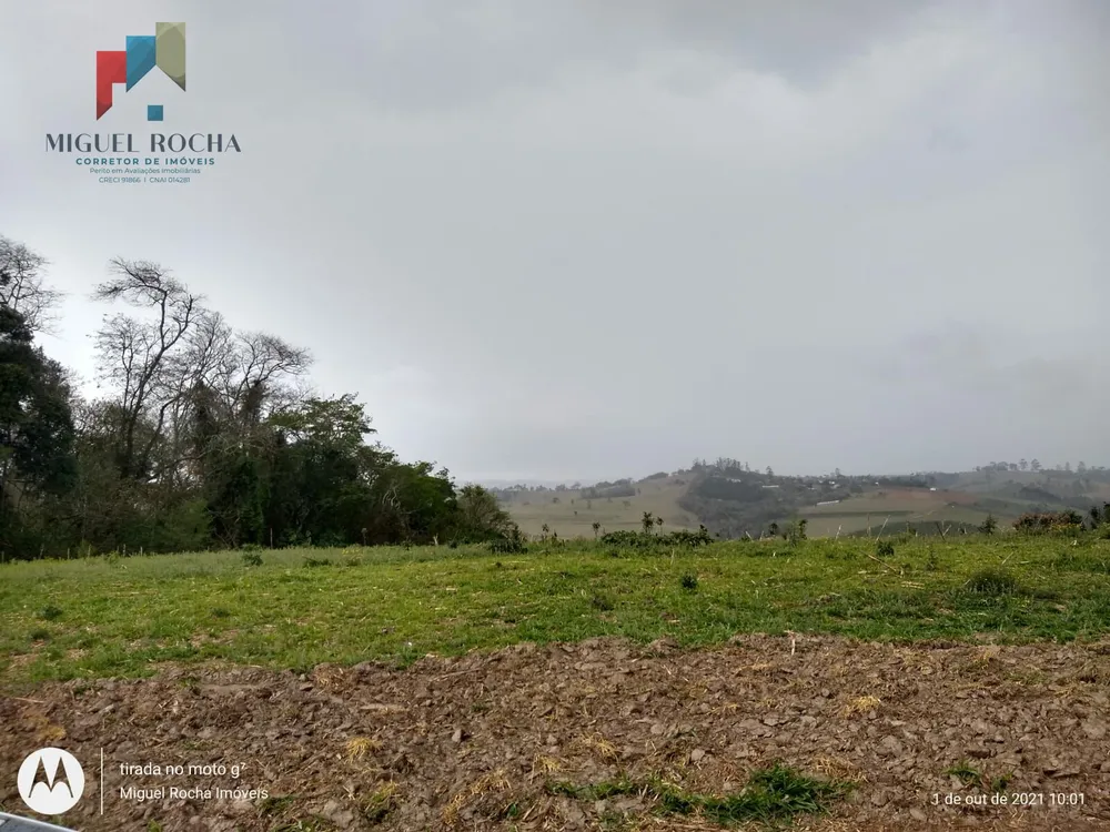 Fazenda, 315 hectares - Foto 6