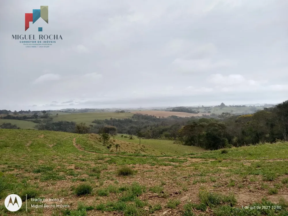 Fazenda, 315 hectares - Foto 10