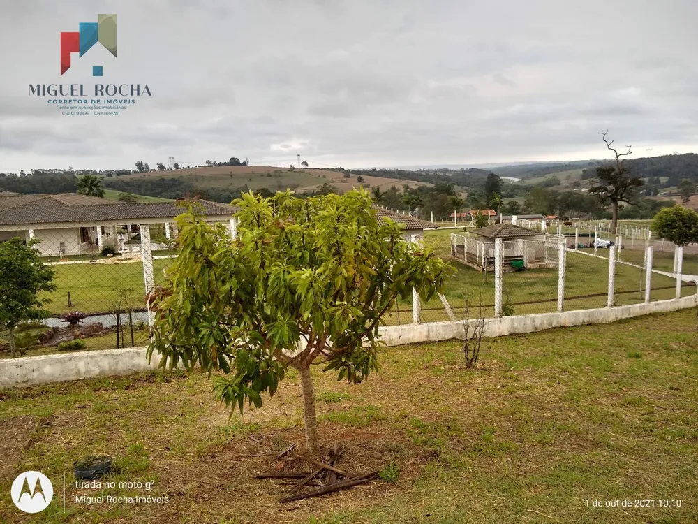 Fazenda, 315 hectares - Foto 19