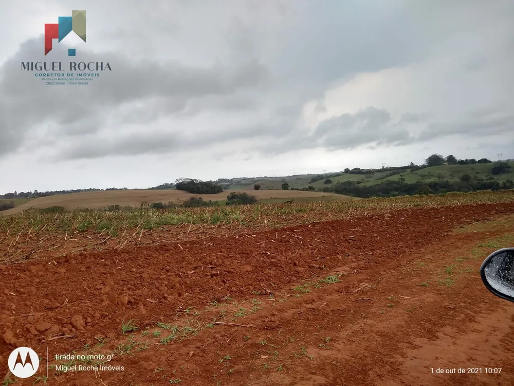 Fazenda, 315 hectares - Foto 3
