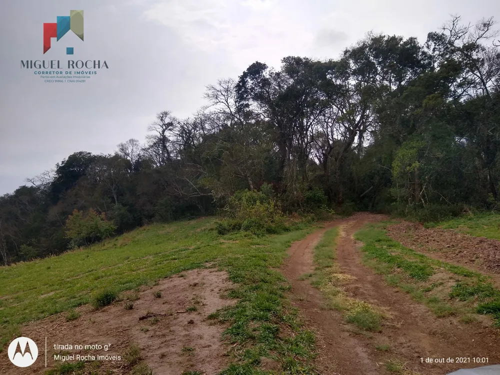 Fazenda, 315 hectares - Foto 12