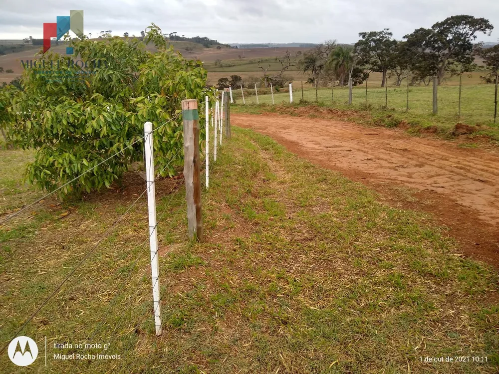 Fazenda, 315 hectares - Foto 18