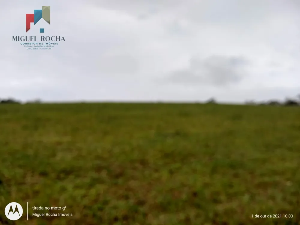 Fazenda, 315 hectares - Foto 11