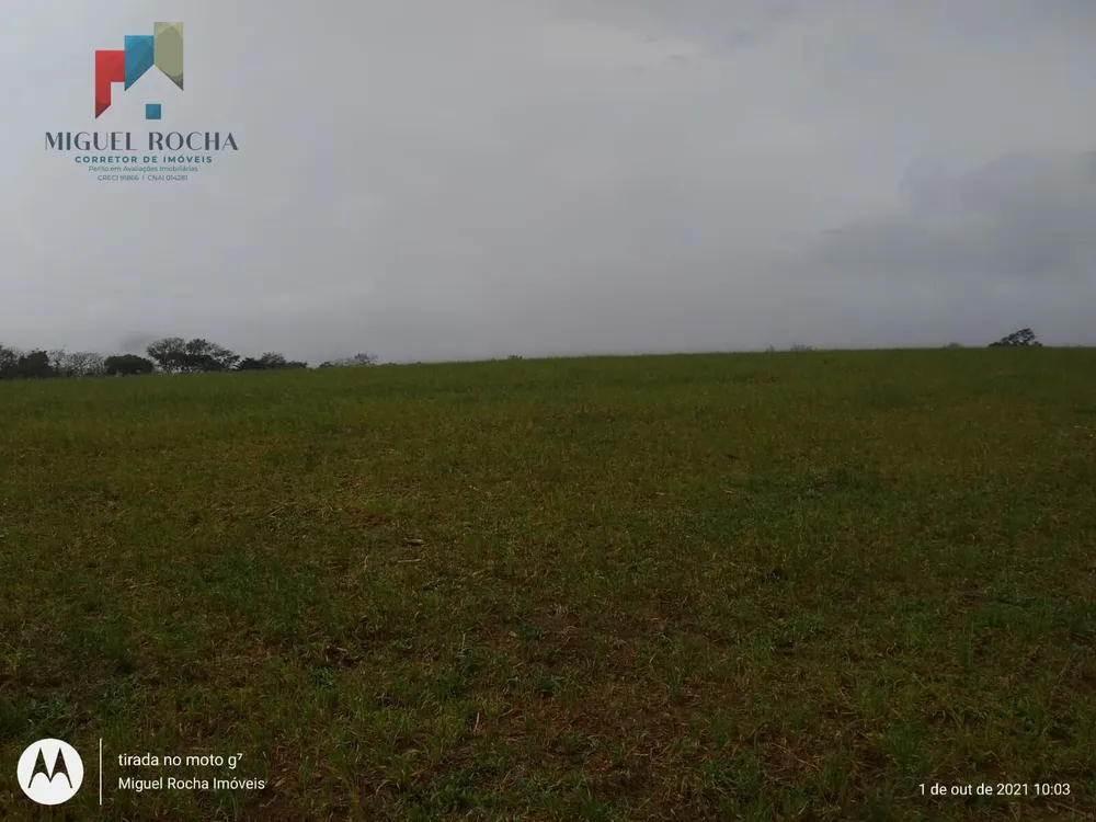 Fazenda, 315 hectares - Foto 1