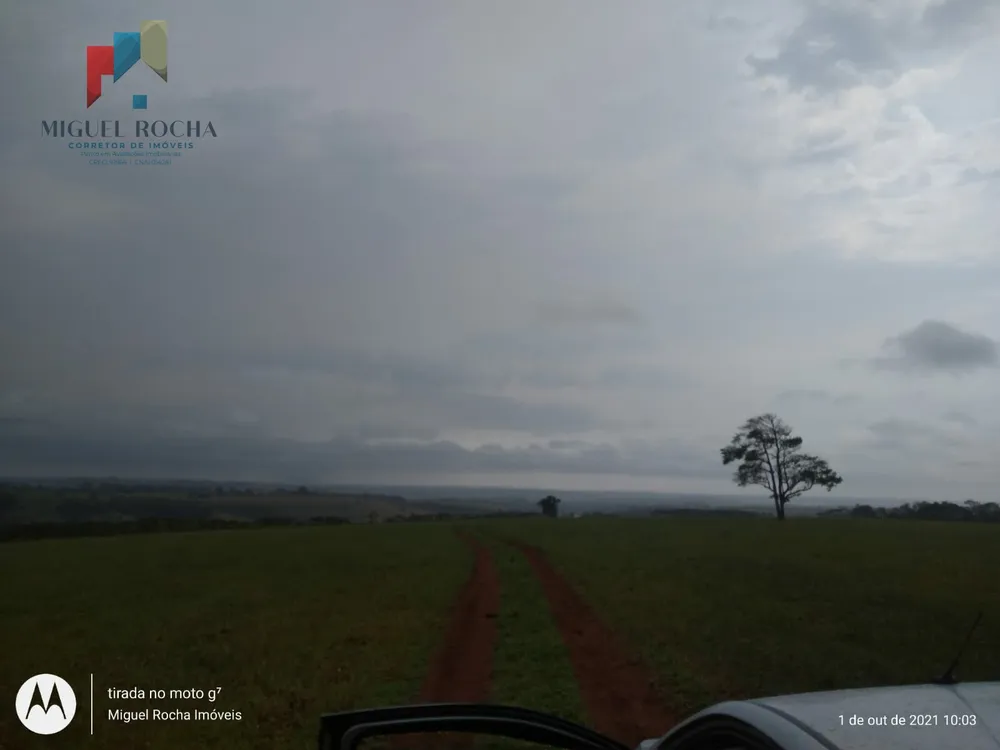 Fazenda, 315 hectares - Foto 9