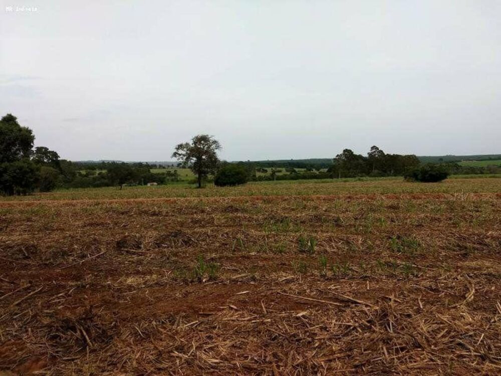 Fazenda, 557 hectares - Foto 1