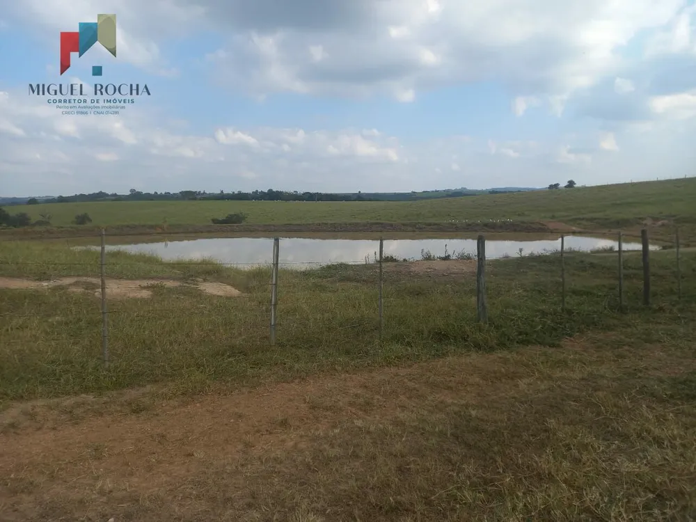 Fazenda, 218 hectares - Foto 2