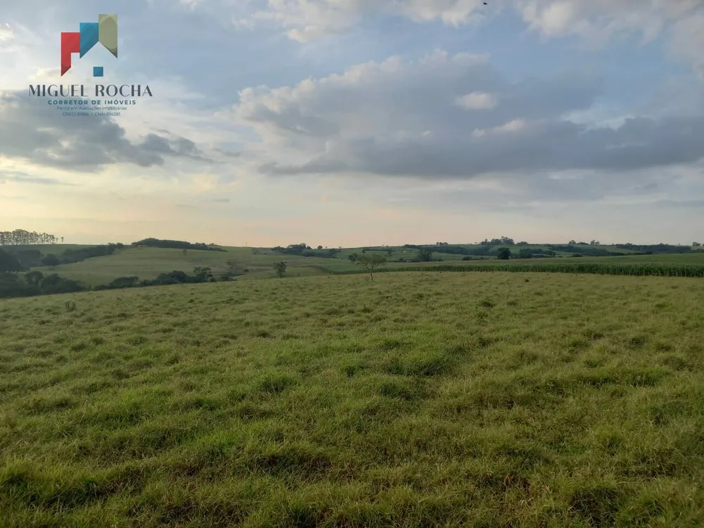 Fazenda, 218 hectares - Foto 3