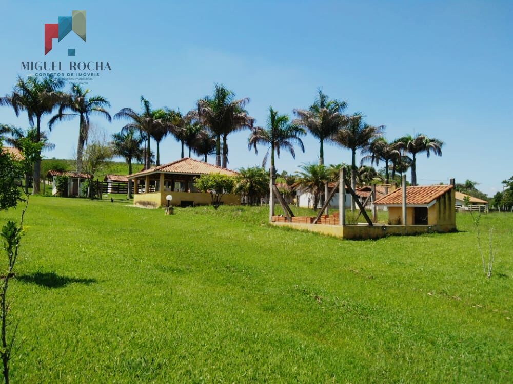 Sítio à venda com 4 quartos, 72600m² - Foto 6