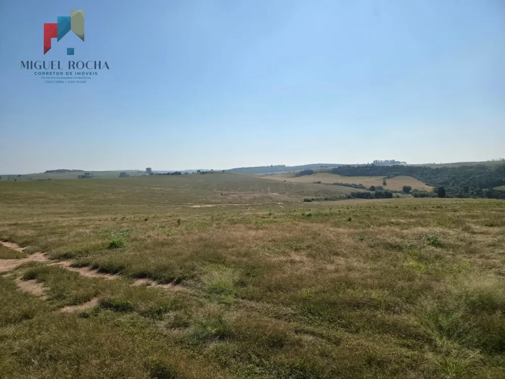 Fazenda, 387 hectares - Foto 4