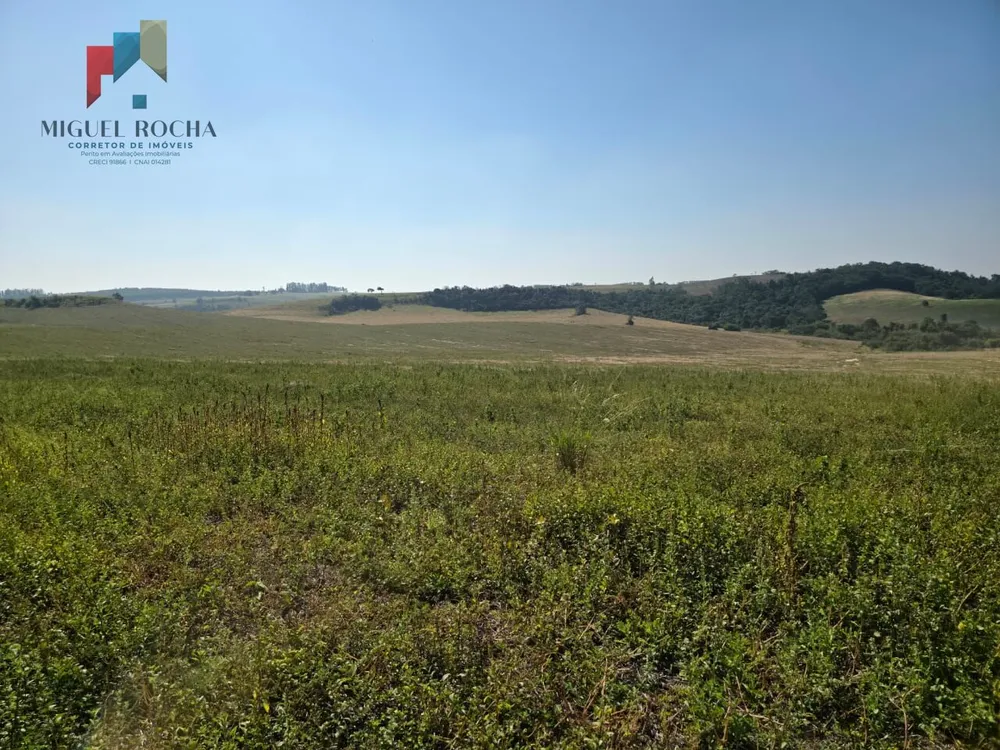 Fazenda, 387 hectares - Foto 6