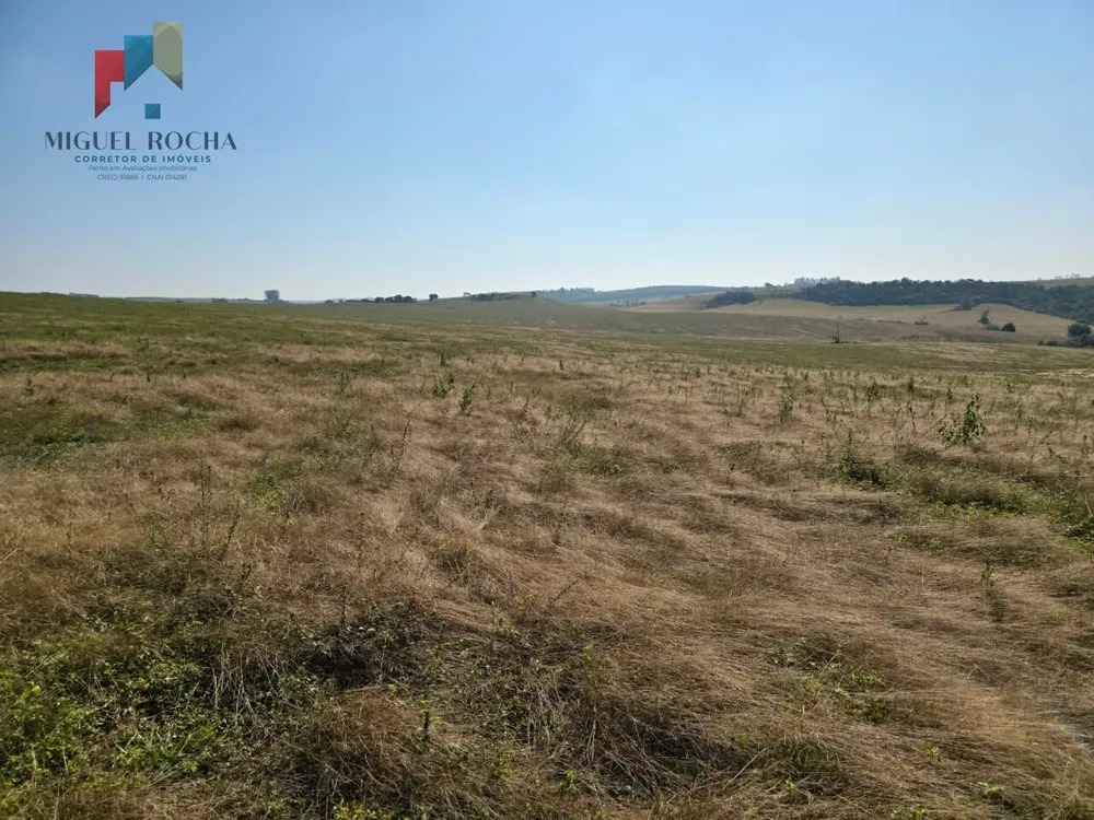 Fazenda, 387 hectares - Foto 2