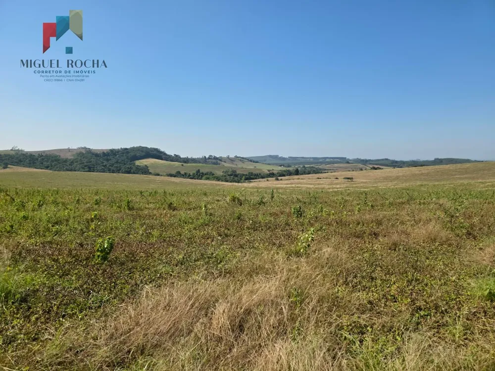 Fazenda, 387 hectares - Foto 1