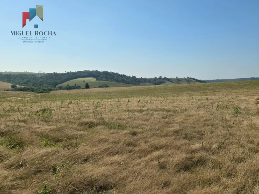 Fazenda, 387 hectares - Foto 9