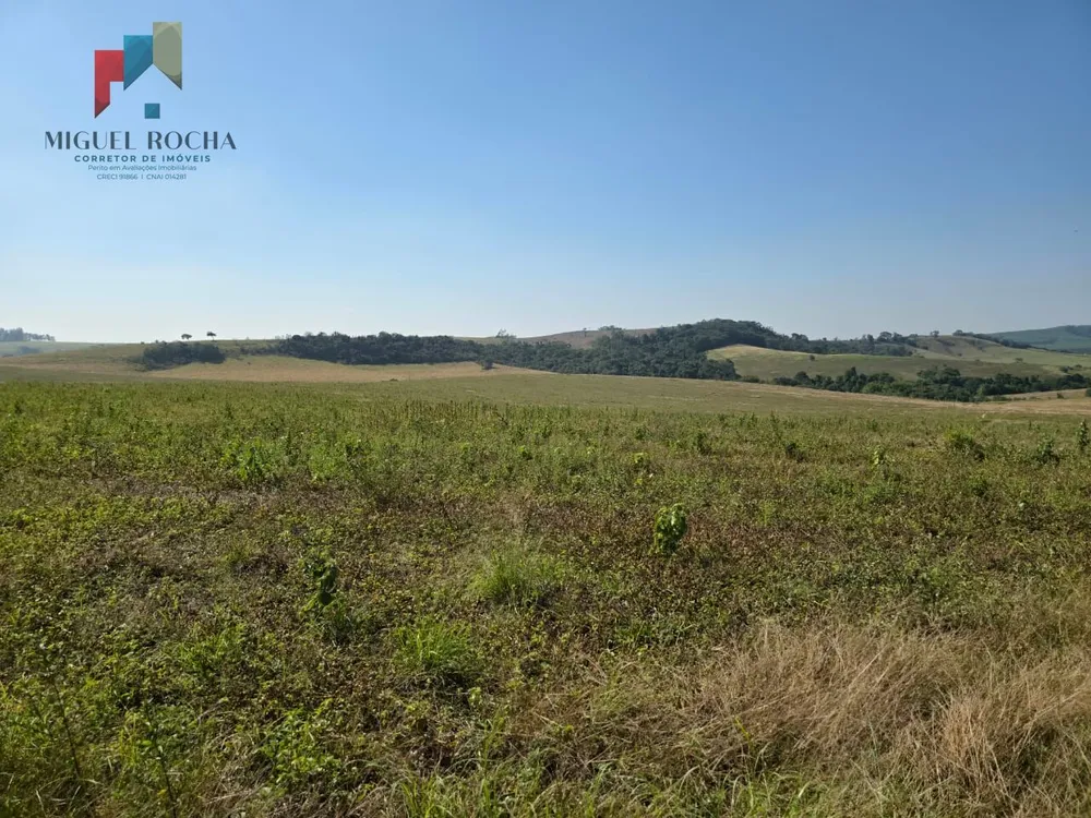 Fazenda, 387 hectares - Foto 5