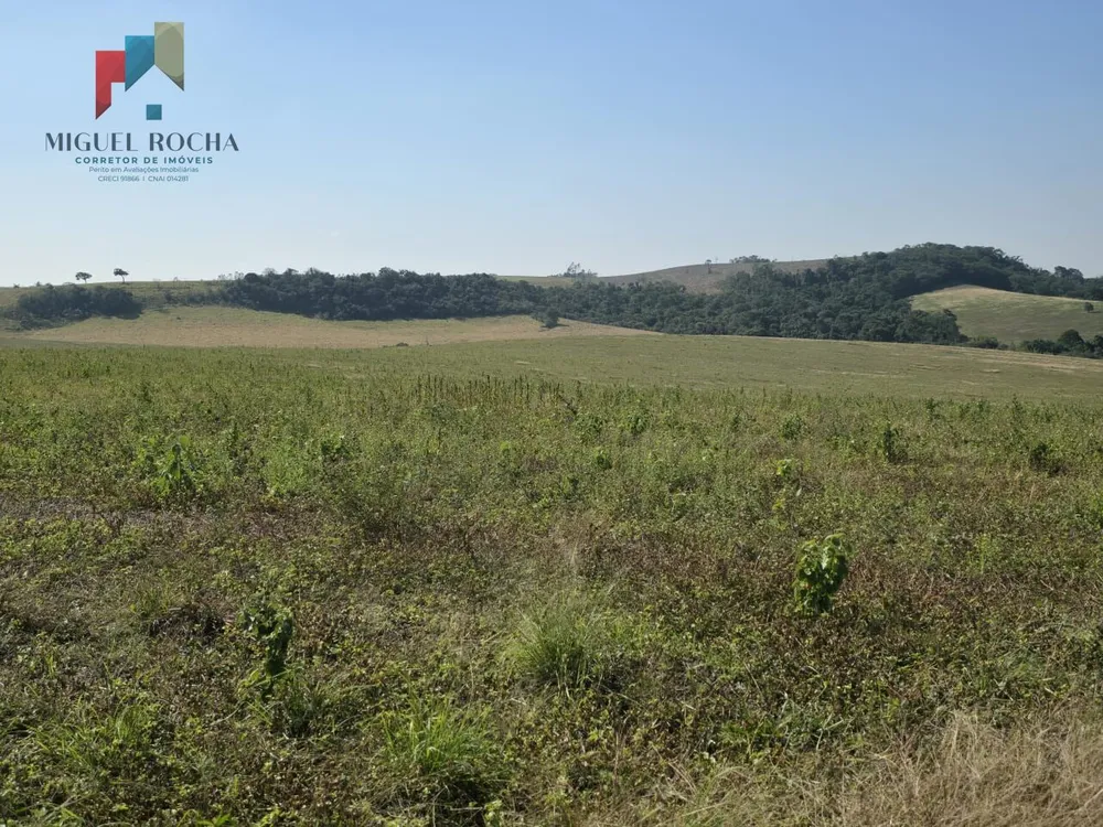 Fazenda, 387 hectares - Foto 3