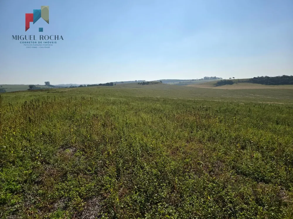Fazenda, 387 hectares - Foto 11
