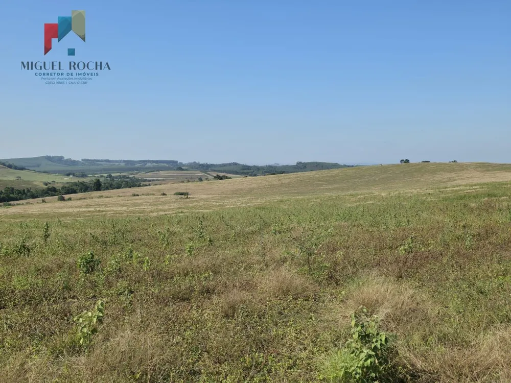 Fazenda, 387 hectares - Foto 7