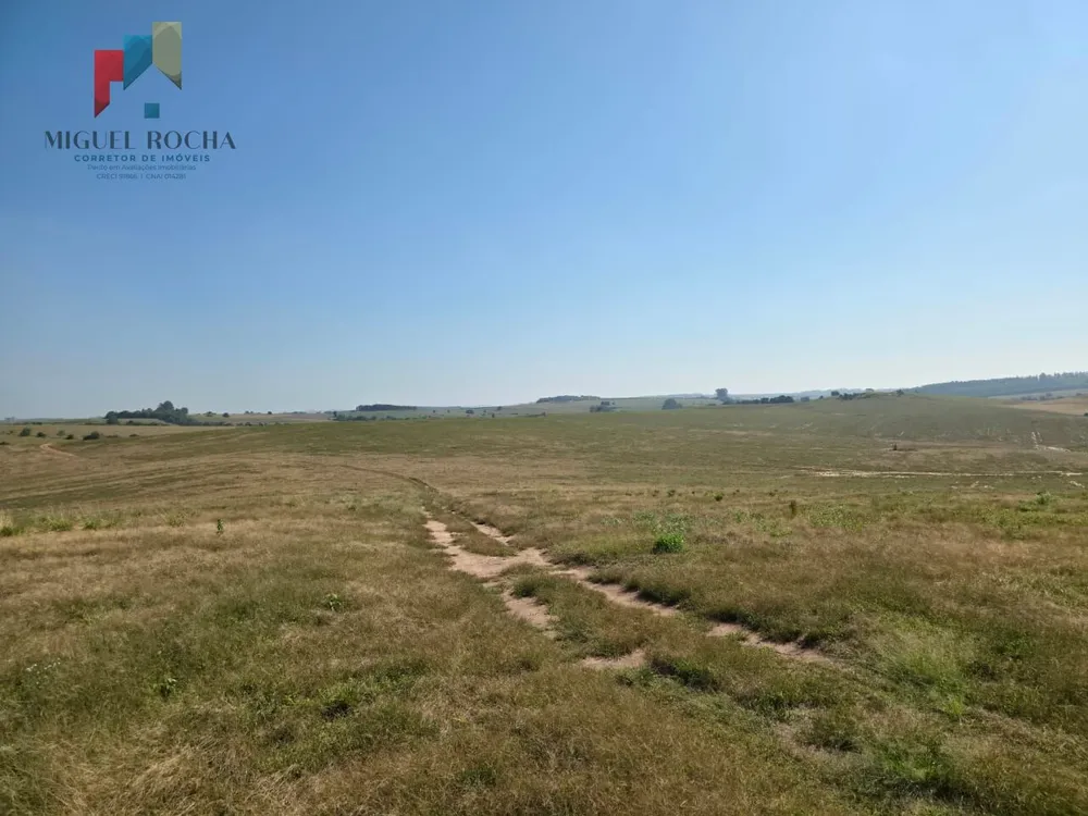 Fazenda, 387 hectares - Foto 10