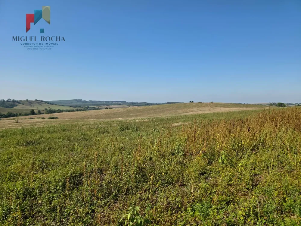 Fazenda, 387 hectares - Foto 8