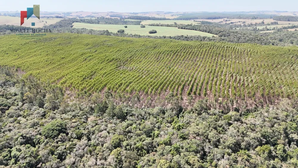 Fazenda, 2 quartos - Foto 9
