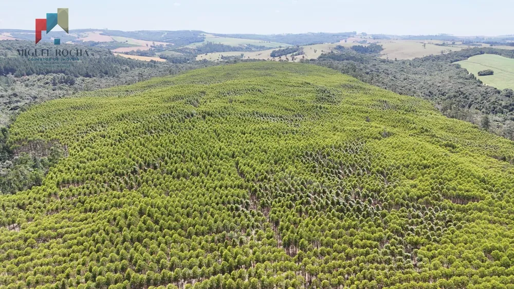 Fazenda, 2 quartos - Foto 8