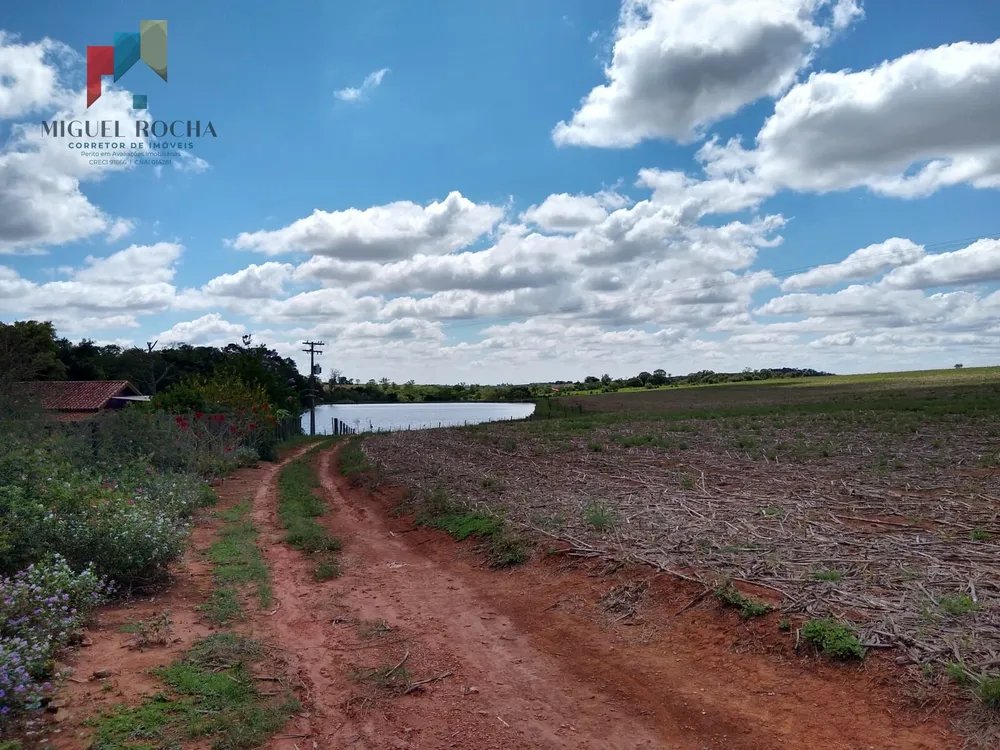 Sítio, 2 quartos, 90 hectares - Foto 3