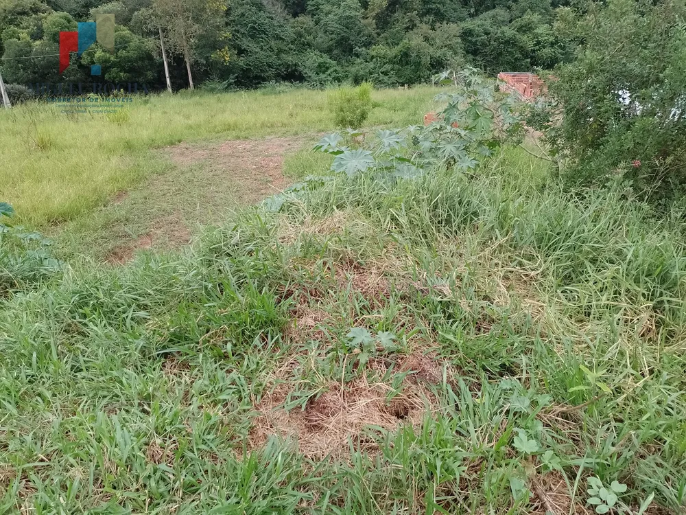 Terreno, 7000 m² - Foto 8