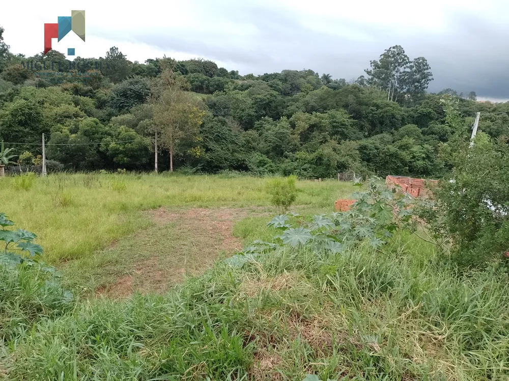 Terreno, 7000 m² - Foto 6