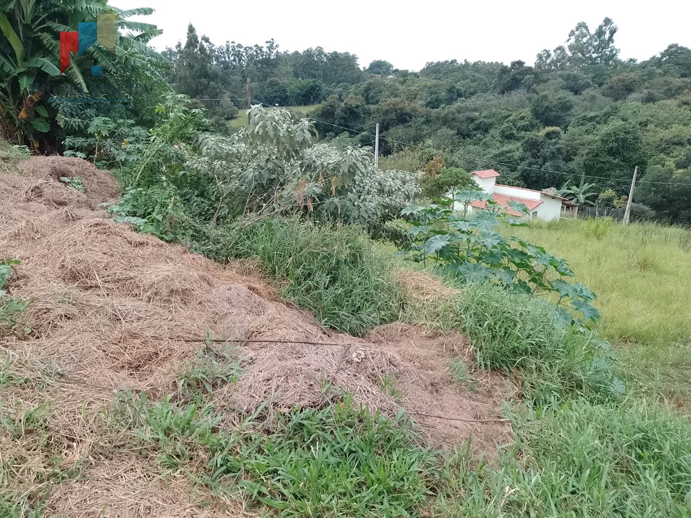 Terreno, 7000 m² - Foto 7