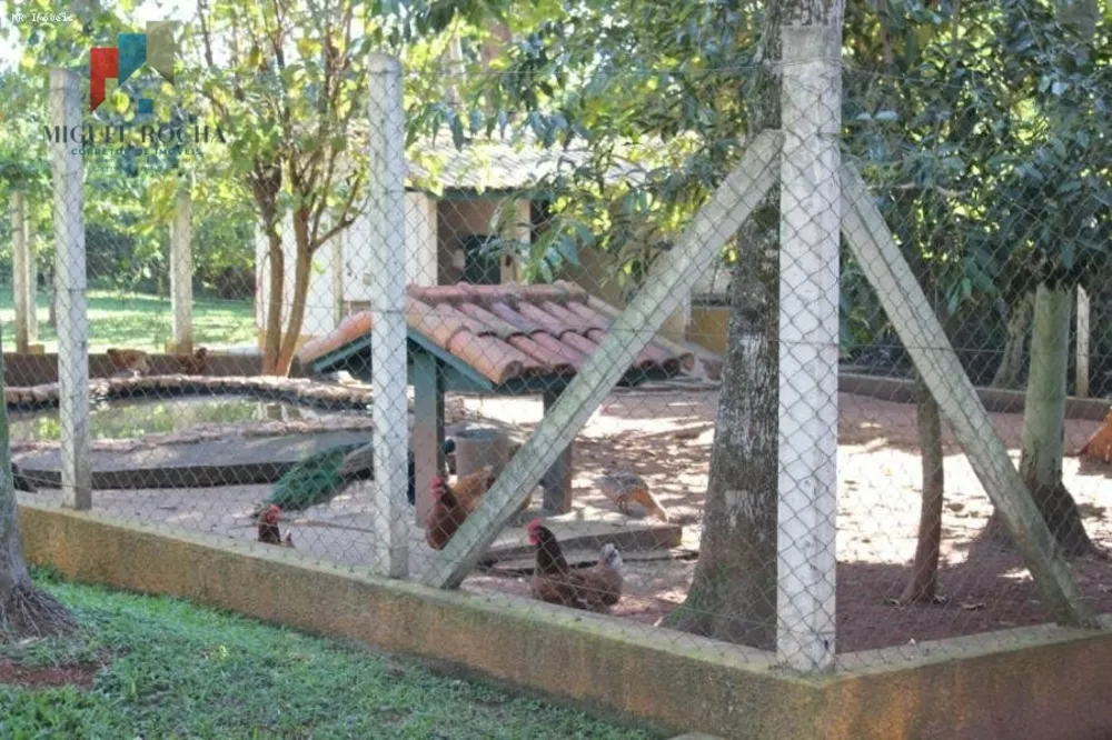 Chácara, 3 quartos, 2 hectares - Foto 14