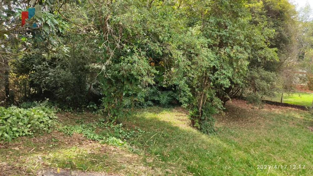 Chácara, 1 quarto, 5000 m² - Foto 6