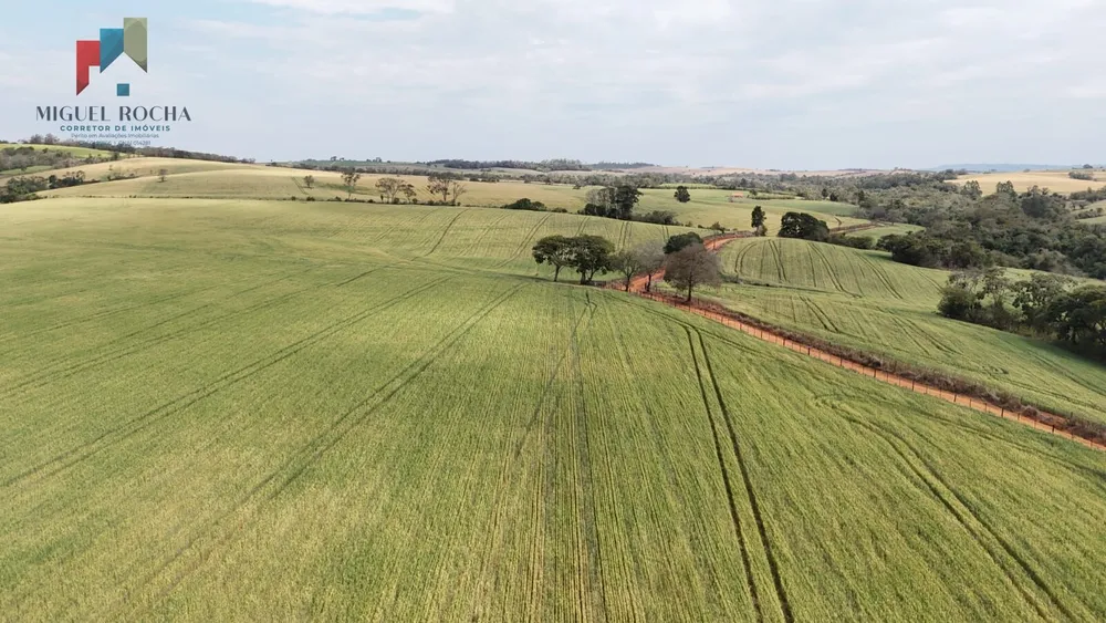 Sítio, 36 hectares - Foto 16