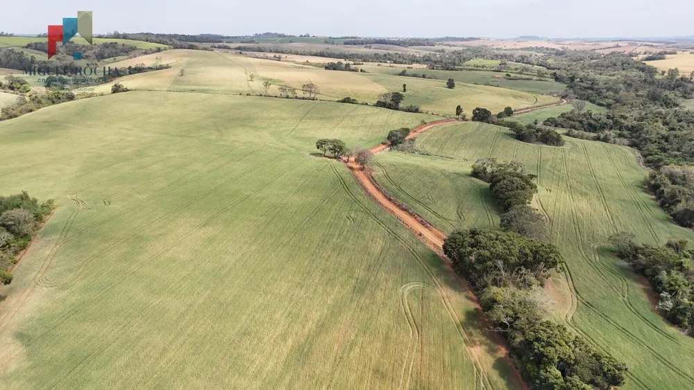 Sítio, 36 hectares - Foto 15