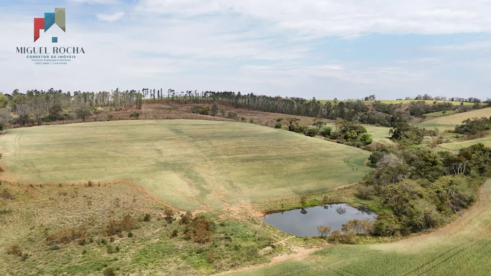 Sítio, 36 hectares - Foto 11