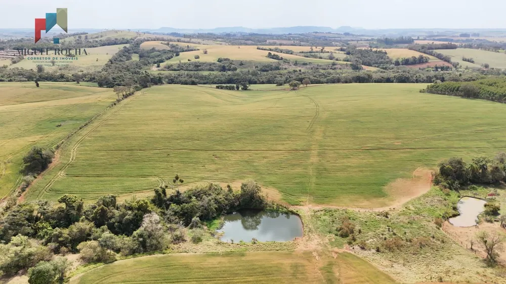 Sítio, 36 hectares - Foto 4