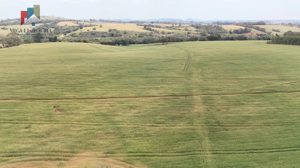 Sítio, 36 hectares - Foto 12