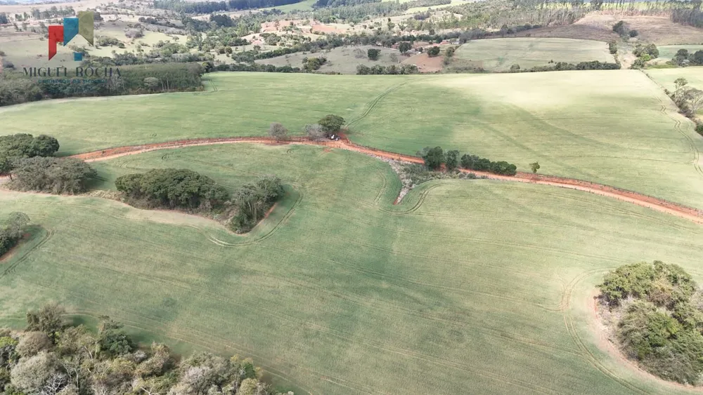 Sítio, 36 hectares - Foto 7