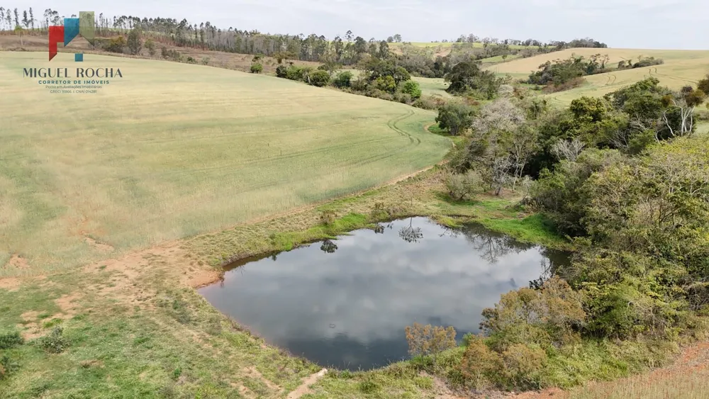 Sítio, 36 hectares - Foto 10