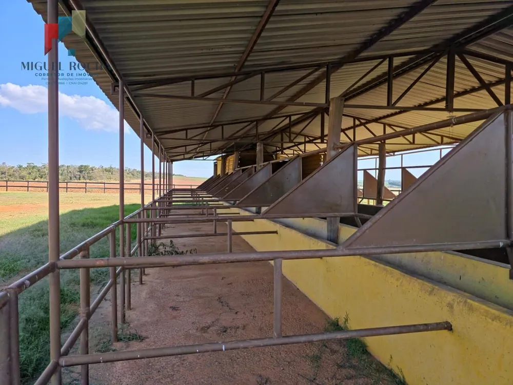 Chácara, 3 quartos, 102 hectares - Foto 7